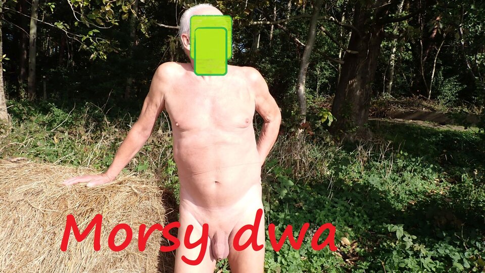 Jesienna sesja. - Morsy_dwa