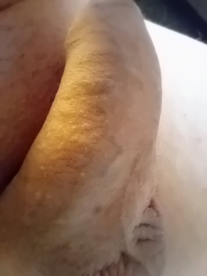 1000038314.jpg - Pepma