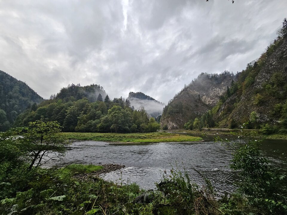 1000070962.jpg - Trzepaczka69