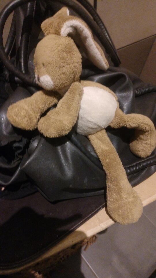 1000013080.jpg - TransKitty