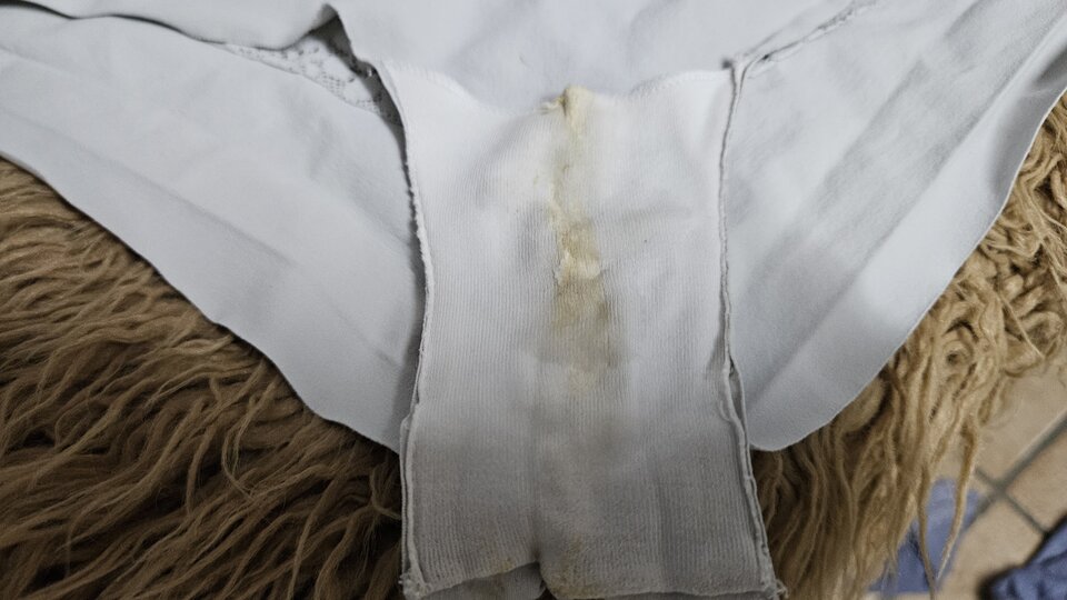 20251009_122743.jpg - wast79