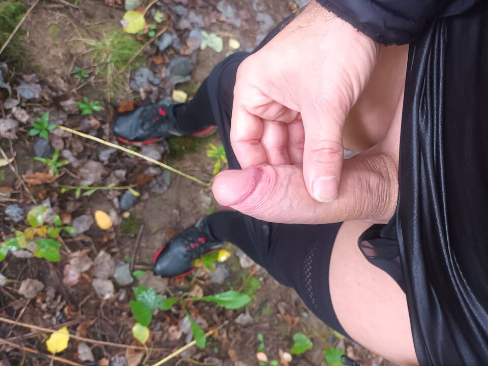 20251010_125235.jpg - Paula_trans