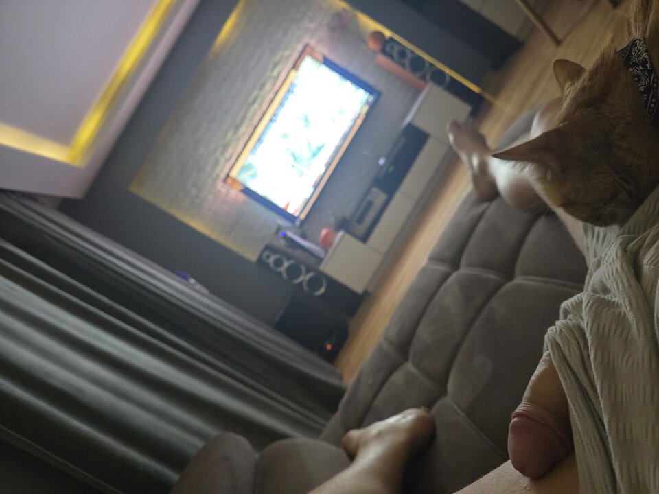 17601350406707235102355776542293.jpg - Wieczni3_napalony