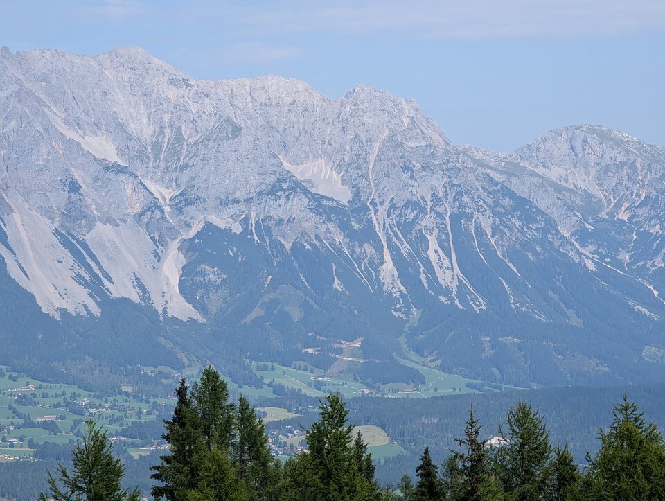 cfc332f6-9943-4f6b-94f8-90273307a025-1_all_59.jpg - condor81