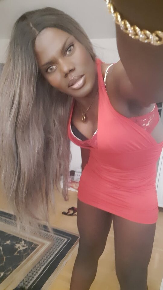 Snapchat-912709992.jpg - OniJegoTrans