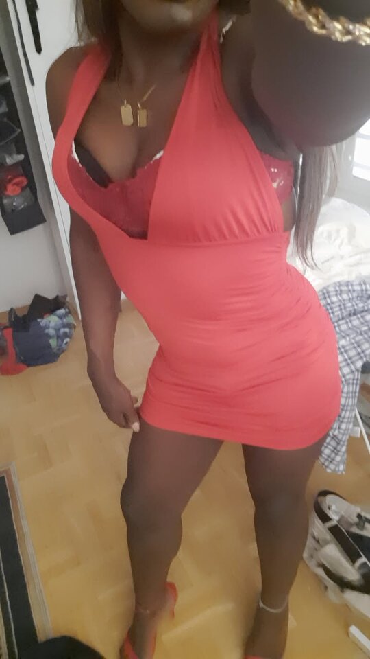 Snapchat-280642239.jpg - OniJegoTrans