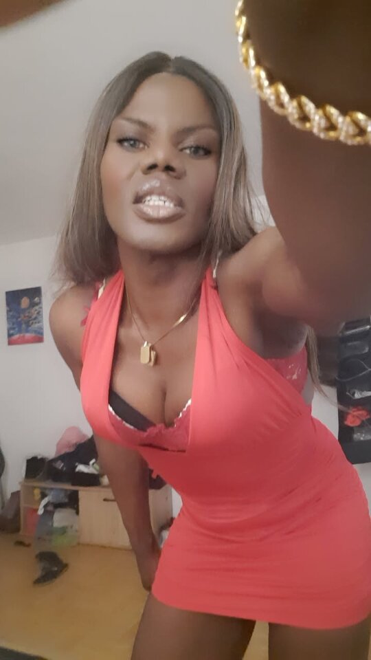 Snapchat-766835042.jpg - OniJegoTrans