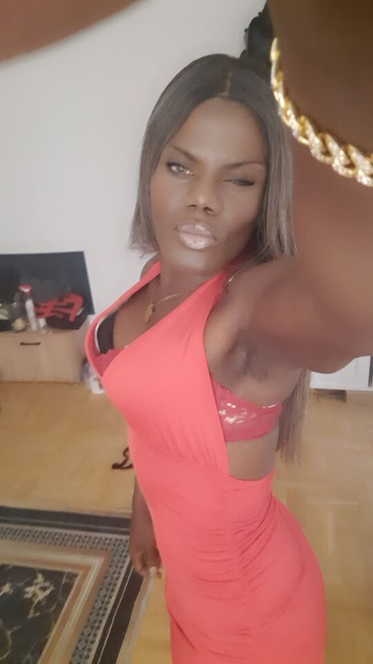 Snapchat-1105515289.jpg - OniJegoTrans