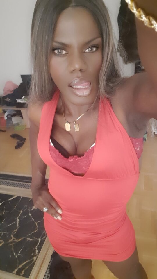 Snapchat-223103588.jpg - OniJegoTrans