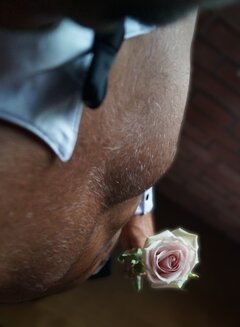 Koszula w praniu 😉