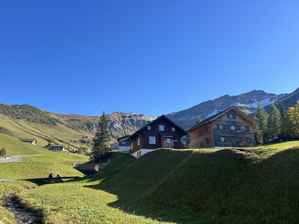 IMG_1779.jpeg - Nemo19799