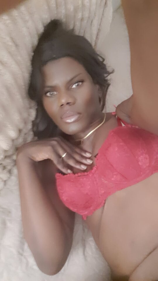 Snapchat-1088079897.jpg - OniJegoTrans