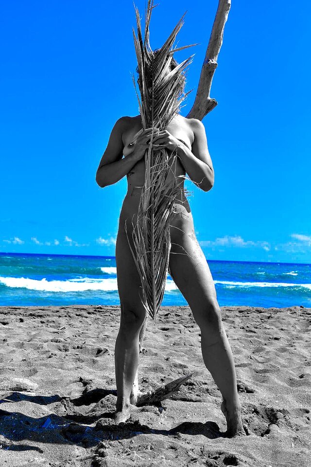 5ea7e61f-11f2-44f5-9df9-3381f9476f5c.jpeg - wild_octo