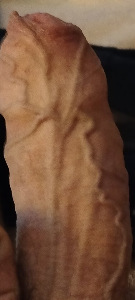 1000003256.jpg - XMiko77