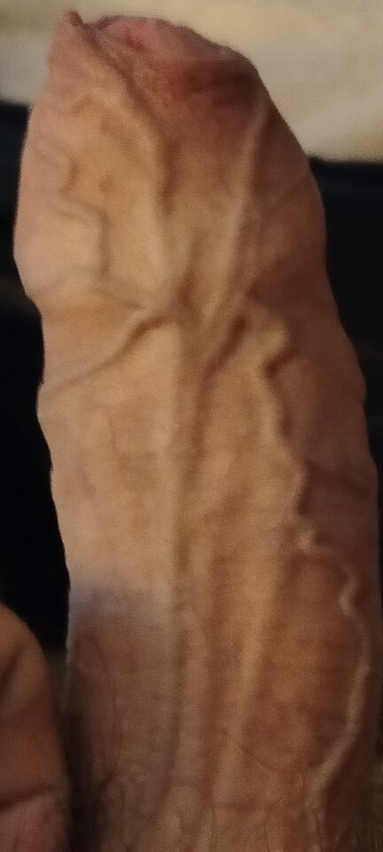 1000003255.jpg - XMiko77