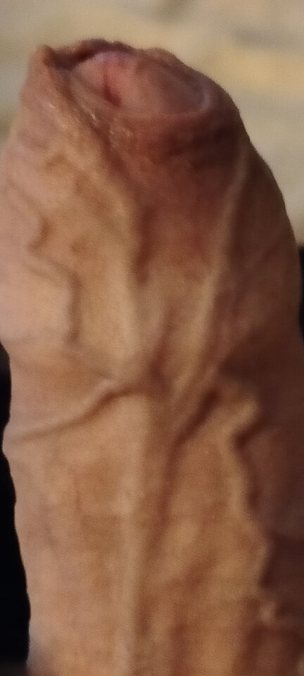 1000003253.jpg - XMiko77