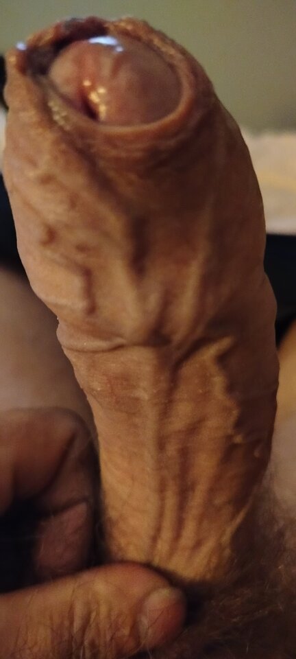 1000003250.jpg - XMiko77