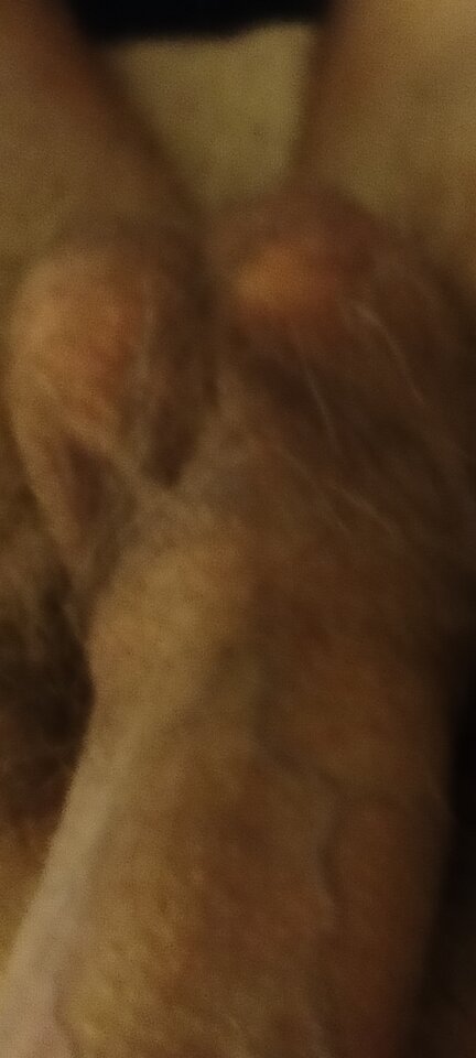 1000003260.jpg - XMiko77