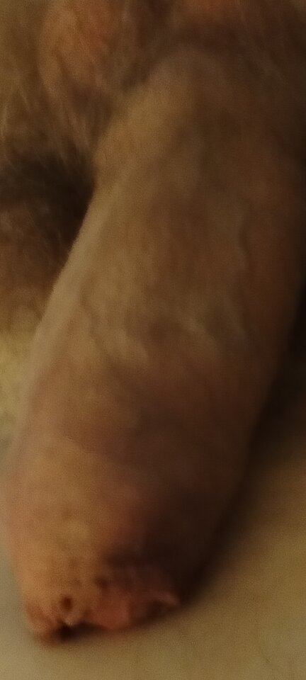 1000003259.jpg - XMiko77