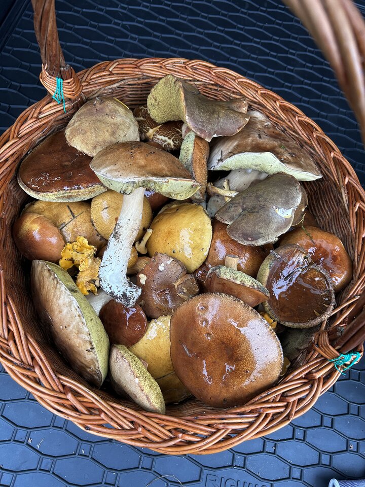 IMG_9541.jpeg - NaturystaXXX