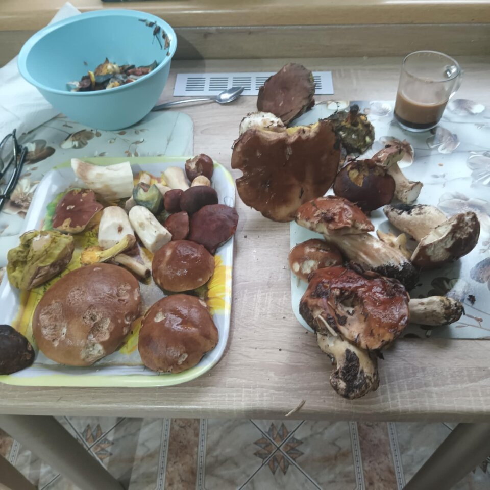 1000001088.jpg - EukaliptusowyCukierekMENTHOL