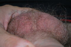 DSC_0565.JPG