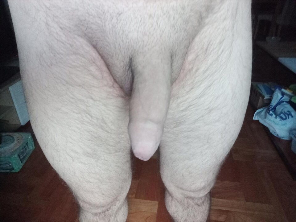 big_bbb6c32fc277d01345a8fddc3aca1065.jpg - 34wolnybi