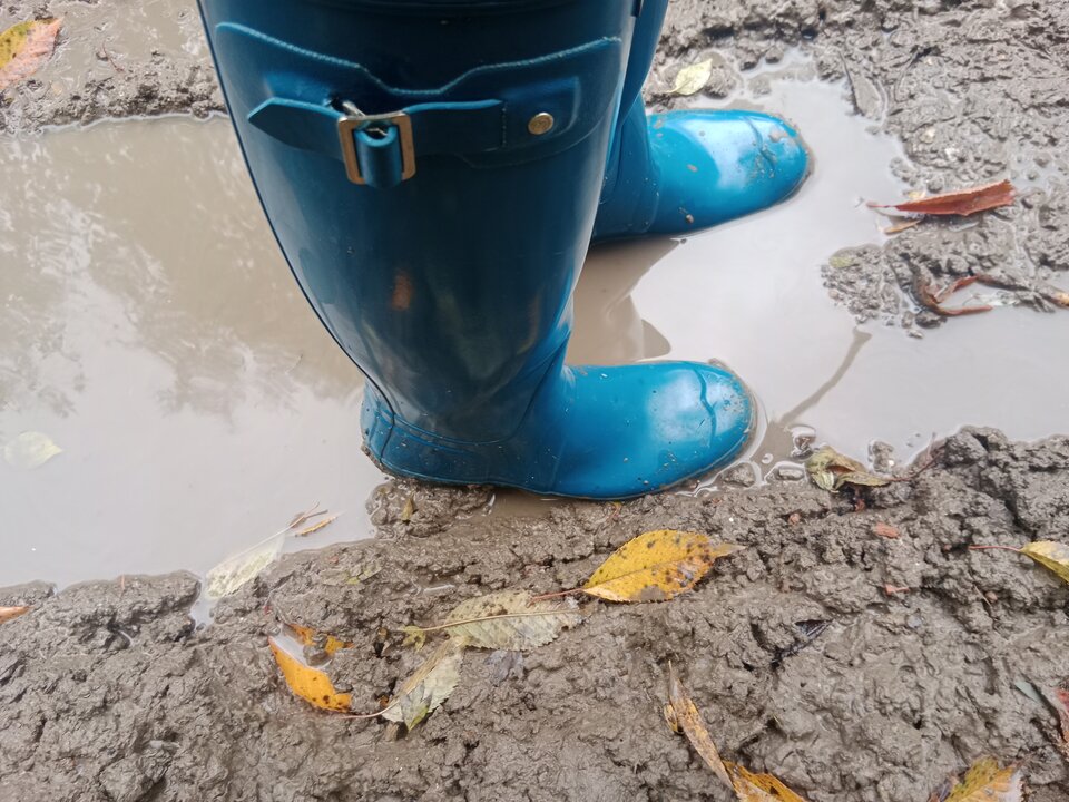 IMG_20251012_151658.jpg - Lalana97