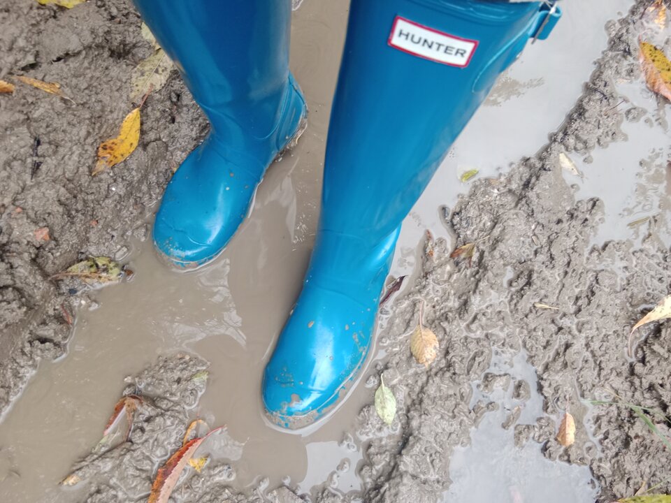 IMG_20251012_151653.jpg - Lalana97