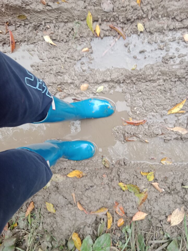 IMG_20251012_151651.jpg - Lalana97