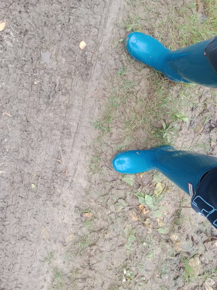 IMG_20251012_151559.jpg - Lalana97