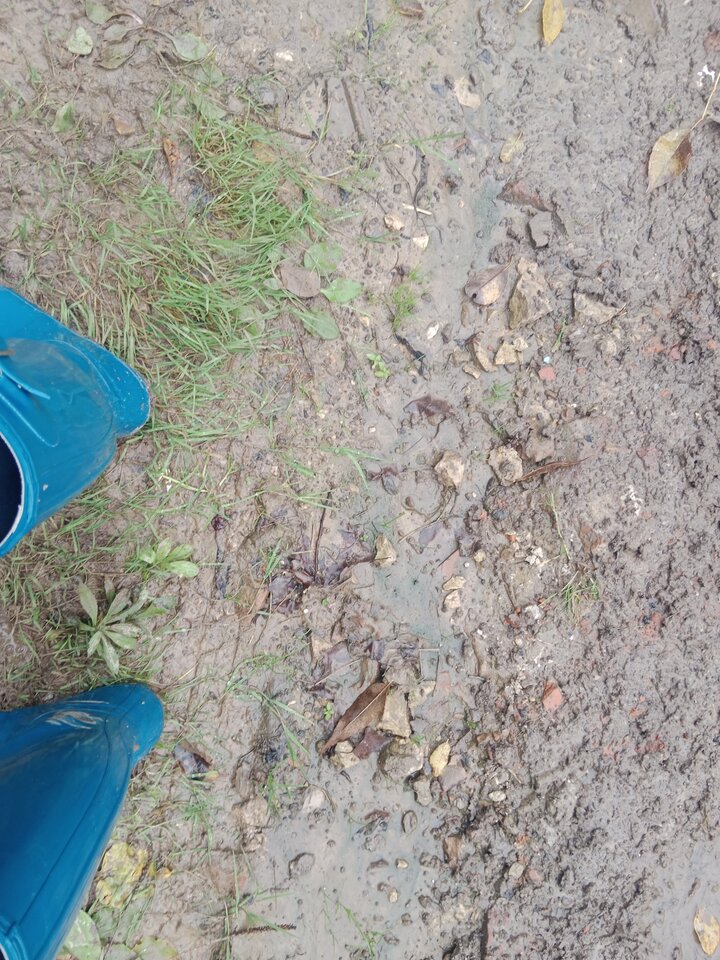 IMG_20251012_151602.jpg - Lalana97