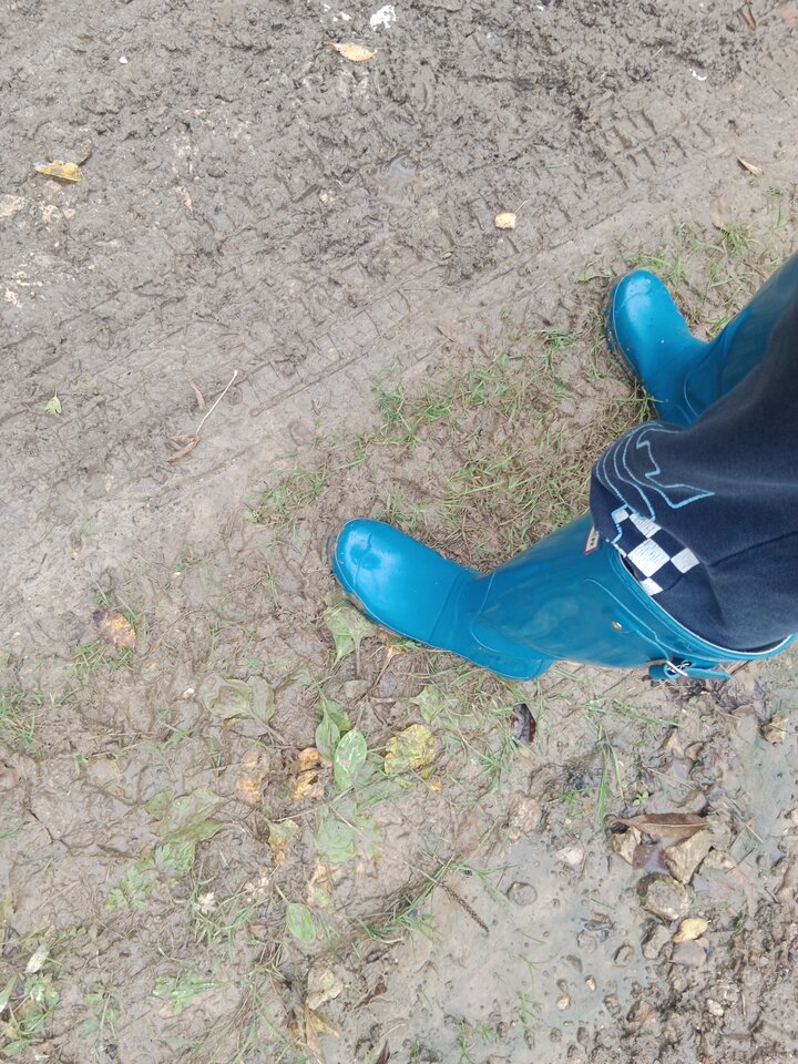 IMG_20251012_151553.jpg - Lalana97