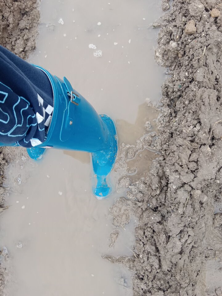 IMG_20251012_153327.jpg - Lalana97