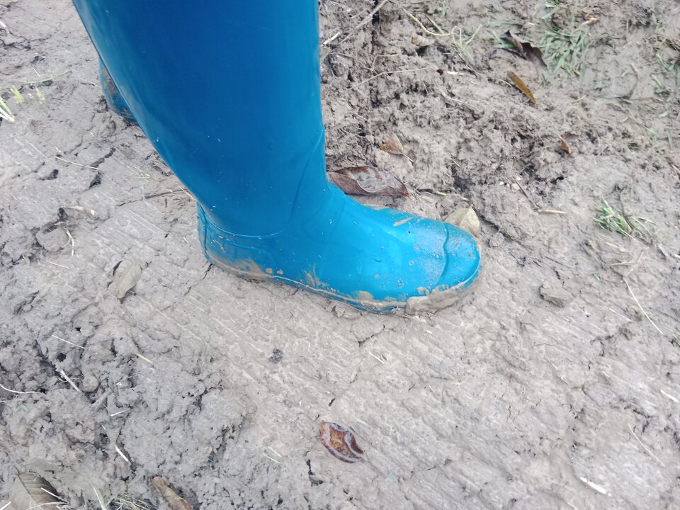 IMG_20251012_152314.jpg - Lalana97