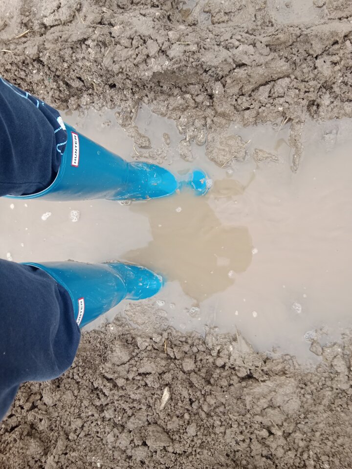 IMG_20251012_153324.jpg - Lalana97