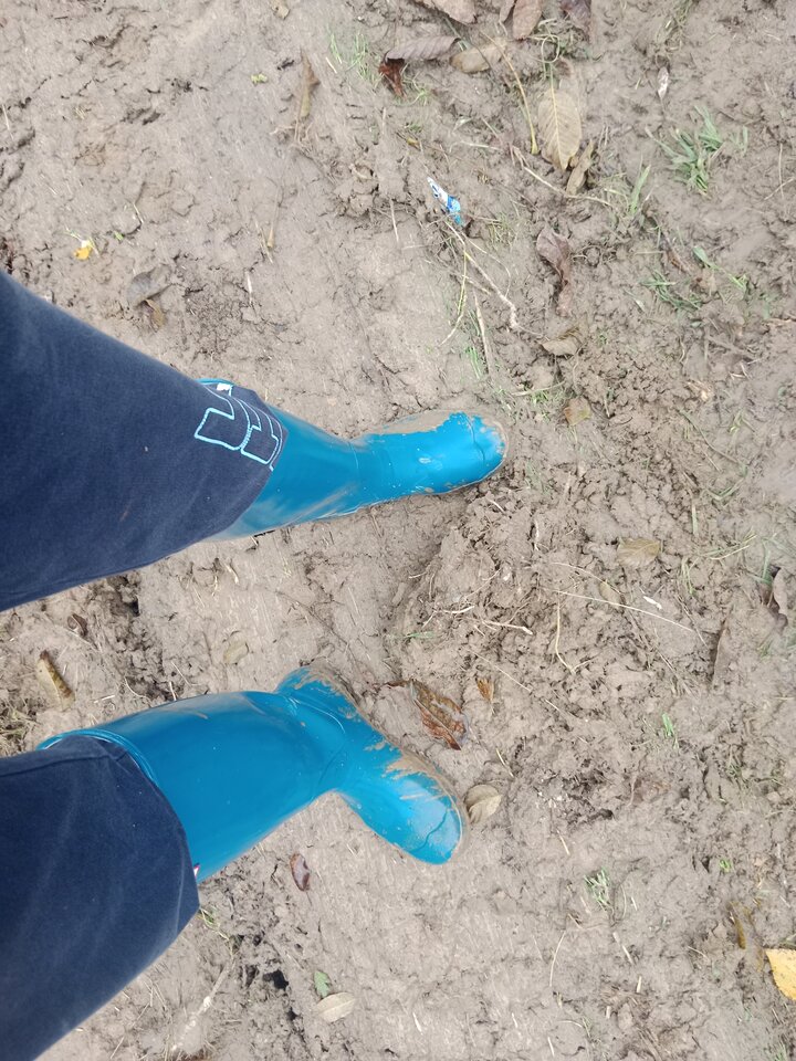 IMG_20251012_152305.jpg - Lalana97