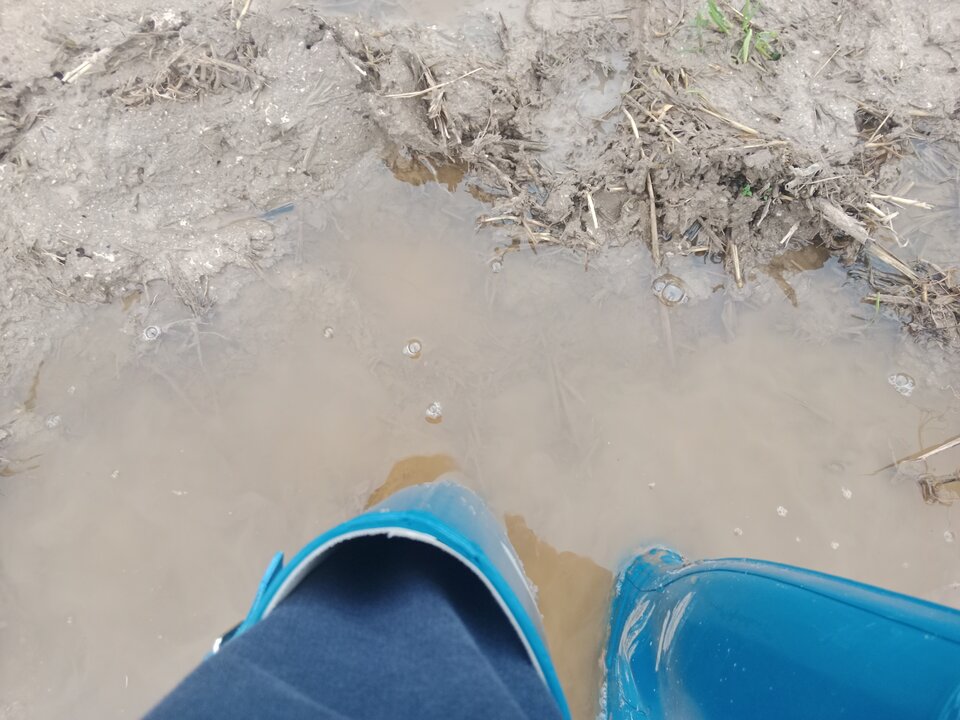 IMG_20251012_153953.jpg - Lalana97