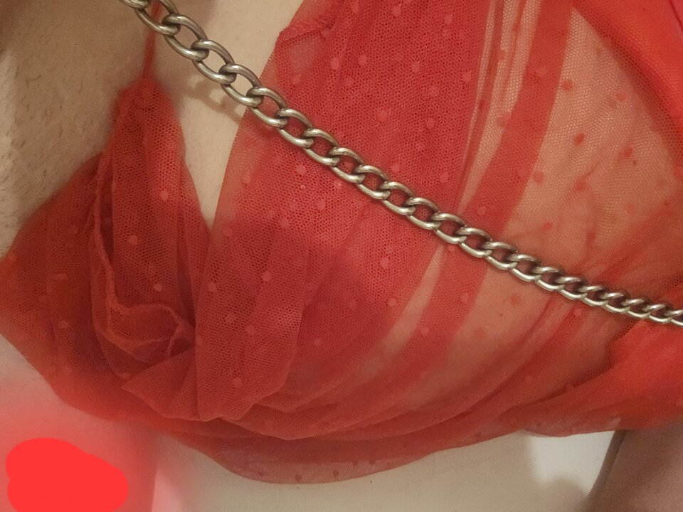 1000029884.jpg - translu