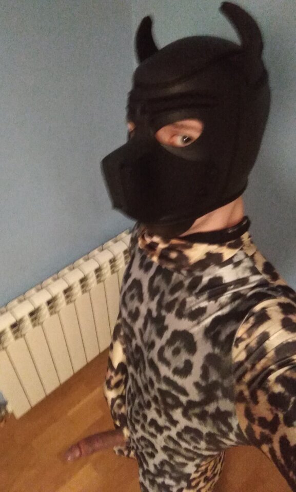 IMG_20251010_230134.jpg - Vacbed