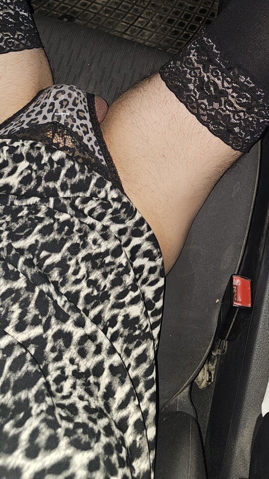 1000023760.jpg - Speedlopez91