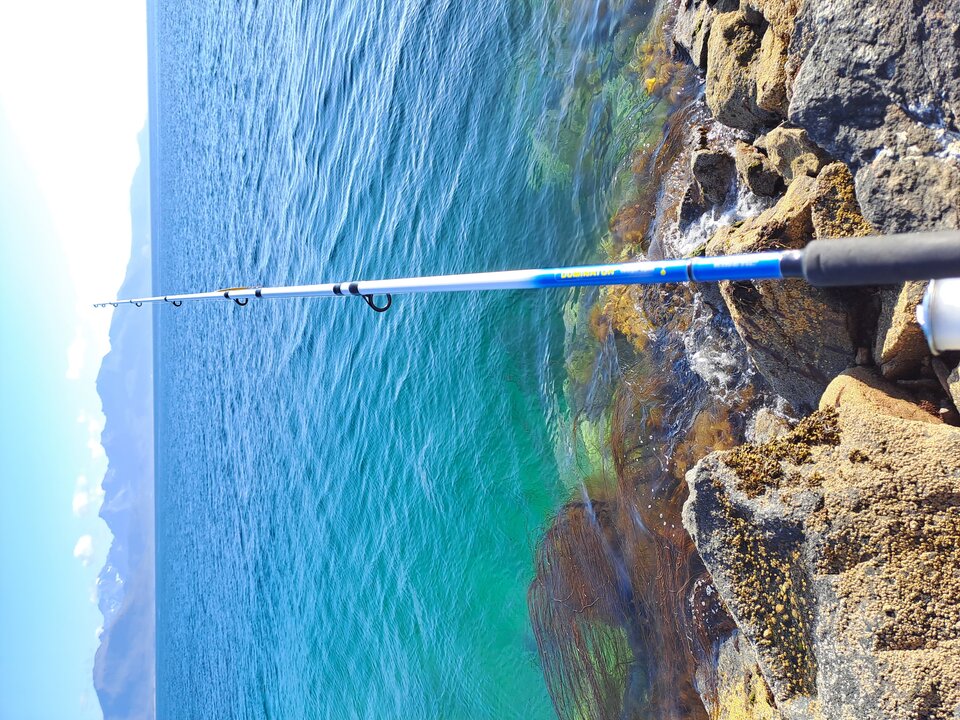 8791ff4b-d27a-4302-a2cc-fa7f016e90e2-1_all_55.jpg - Fabis1991