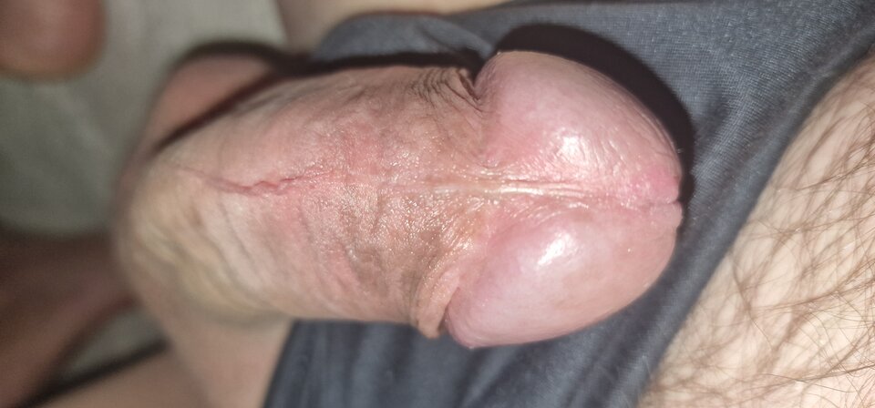 17603244125611121513038273126621.jpg - robin266