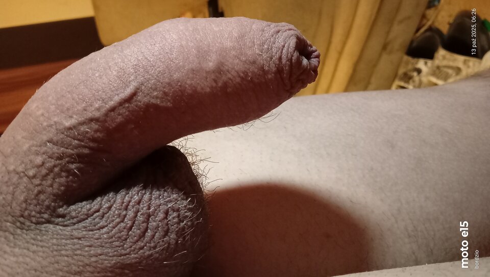 853.jpg - Suchy05