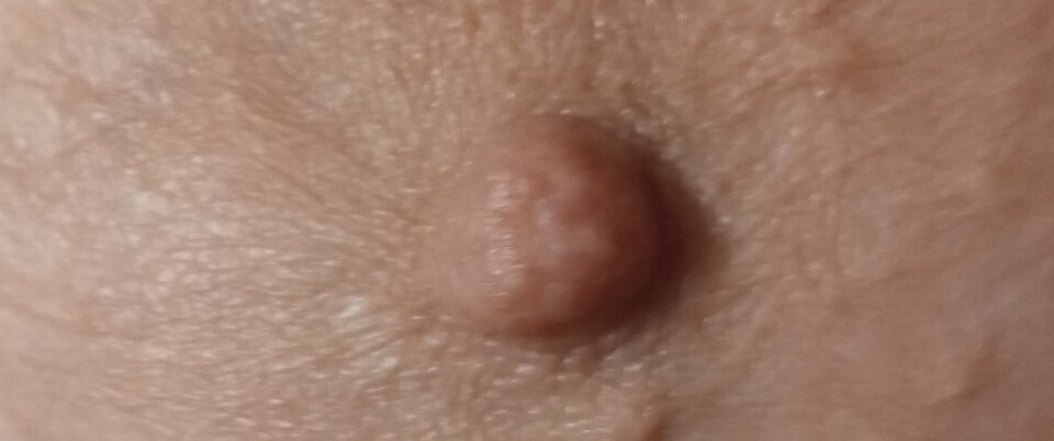 IMG_20251013_145646.jpg - olla55