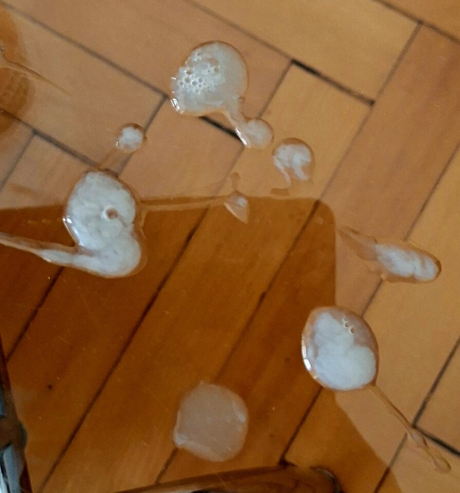 20251013_133511.jpg - szalonaparka76