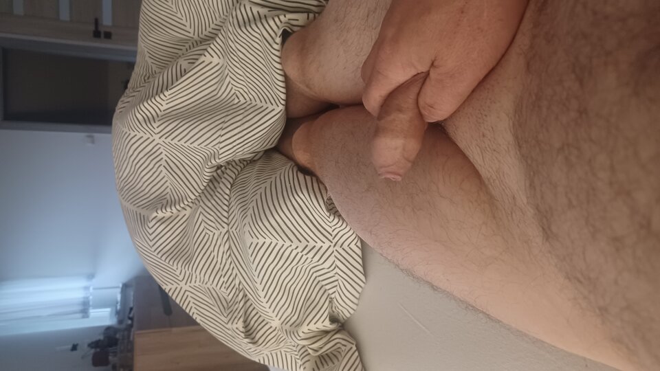 20251010_075137.jpg - Wpja