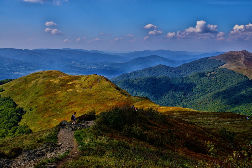 DSC07850_094418.JPG - Adamigo3003