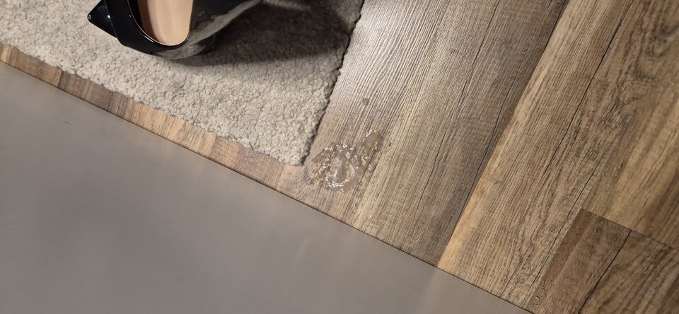 1000081600.jpg - Pusiaiwanek