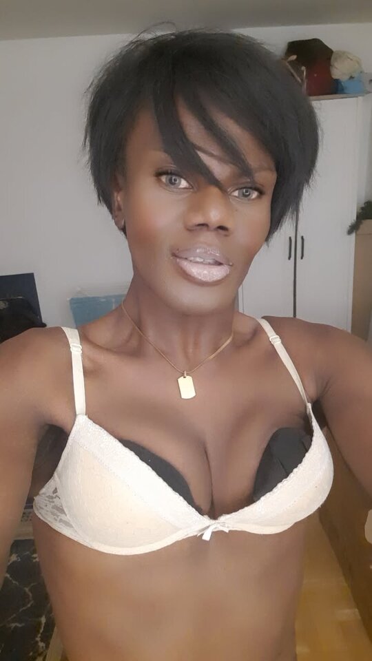 Snapchat-946818903.jpg - OniJegoTrans